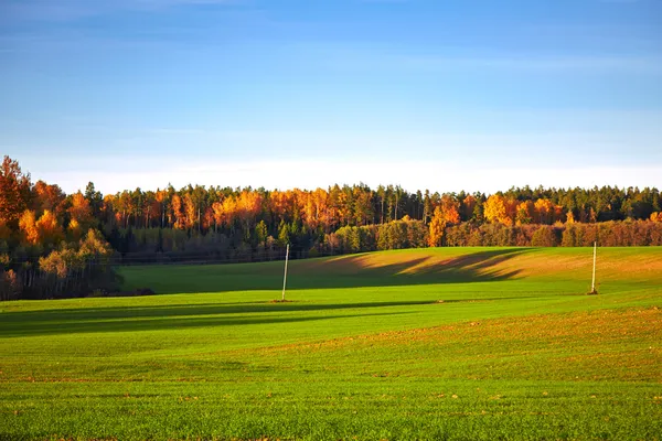 Jesienny krajobraz z drzewami i polami — Zdjęcie stockowe