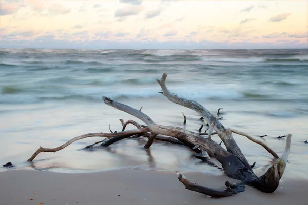 Hermosa escena de costa — Foto de Stock