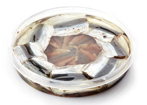 Salted anchovies in plastic container — Stock Photo, Image