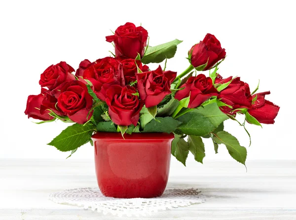 Rose rosse — Foto Stock