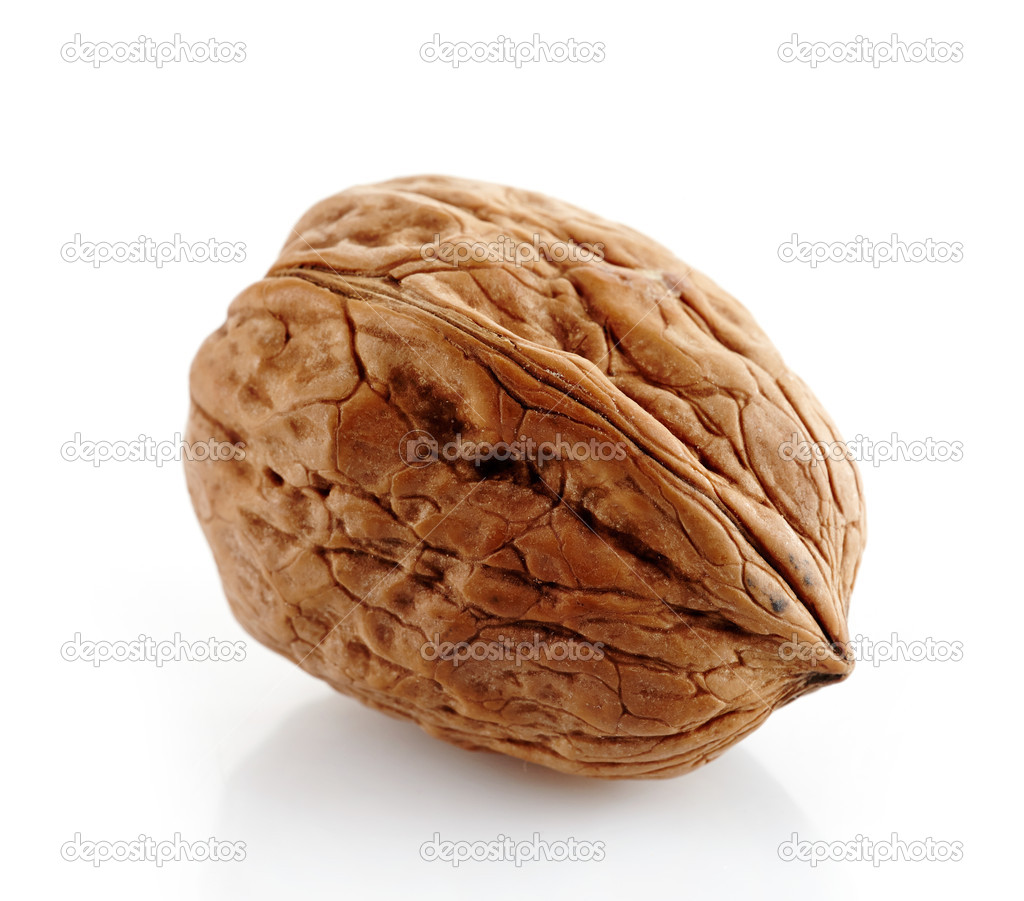 walnut macro