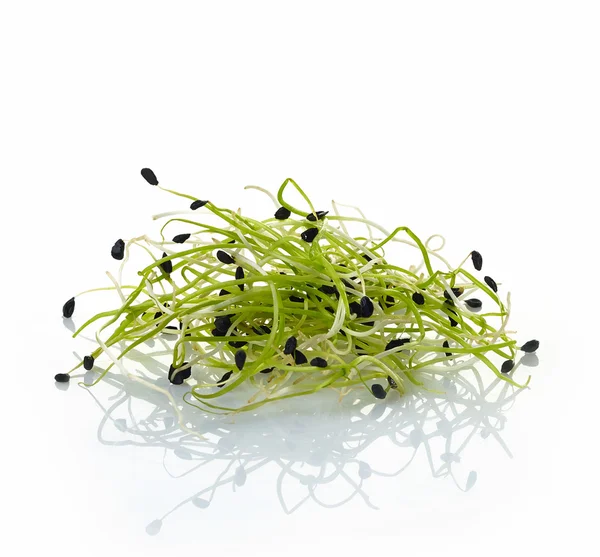 新鮮なニンニク茎の炒め — ストック写真