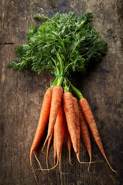 Frisches Karottenbüschel — Stockfoto