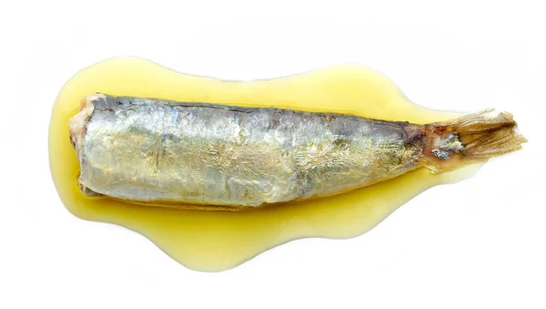 Sardine Blik Olie Geïsoleerd Witte Achtergrond Bovenaanzicht — Stockfoto