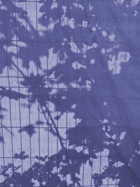 Yaprakların gölgeleri çok peri renginde