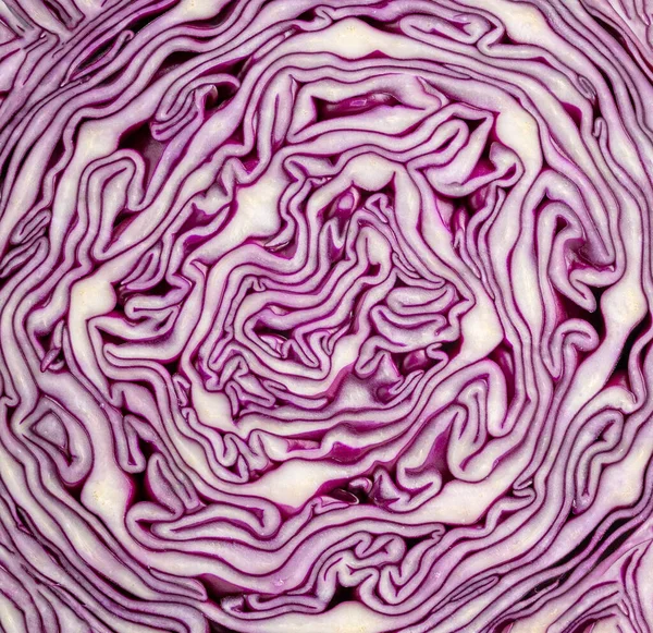 Frische Violette Kohltextur Abschneiden — Stockfoto
