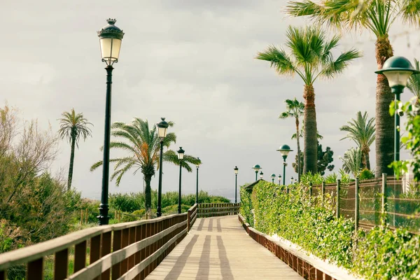 Paysage Avec Passerelle Bois Vers Plage Marbella Espagne Janvier — Photo