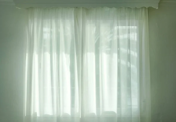 palm tree silhouette through the curtains of the room window