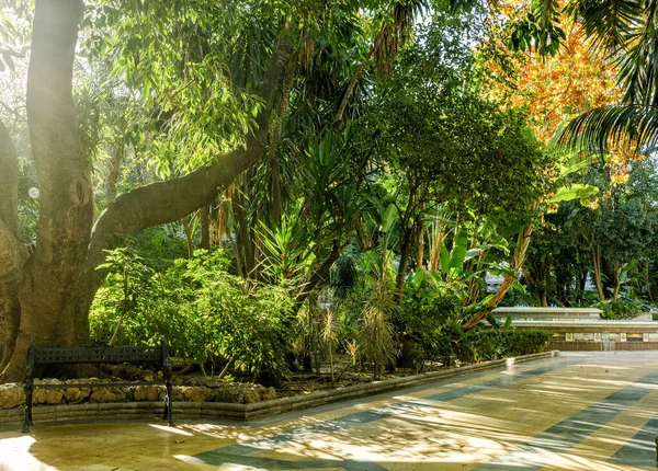 Güzel Yeşil Alameda Parkı Marbella Spanya Nın Merkezinde — Stok fotoğraf