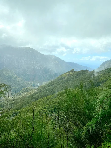 Beautiful Madeira Landscape Mountain View Folhadal Levada Selective Focus — 스톡 사진