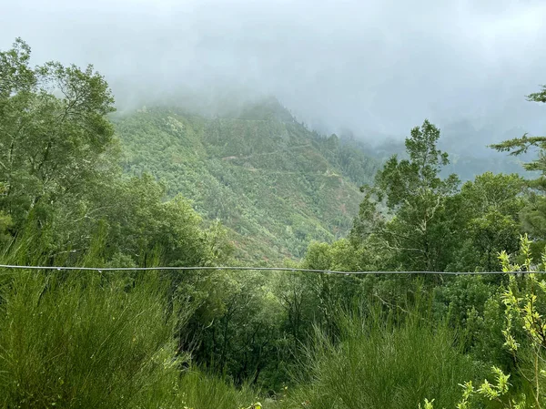 Hermoso Paisaje Madeira Vista Montaña Desde Levada Folhadal Enfoque Selectivo — Foto de Stock