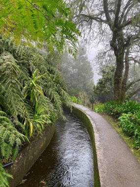 Folhadal Levada ile güzel Madeira manzarası