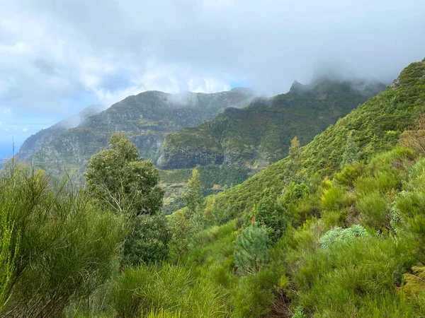 Beautiful Madeira Landscape Mountain View Folhadal Levada Selective Focus — 스톡 사진