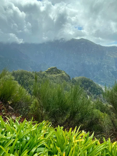 Beautiful Madeira Landscape Mountain View Folhadal Levada Selective Focus — 스톡 사진