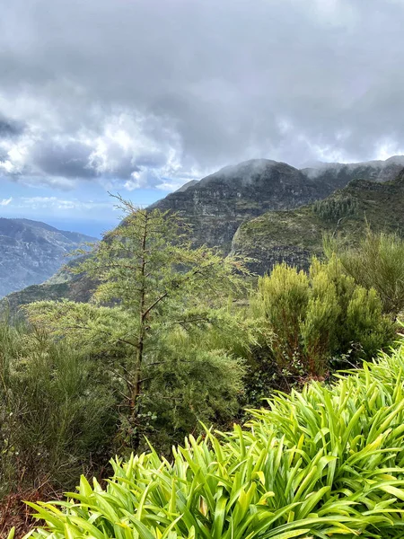 Beautiful Madeira Landscape Mountain View Folhadal Levada Selective Focus — 스톡 사진