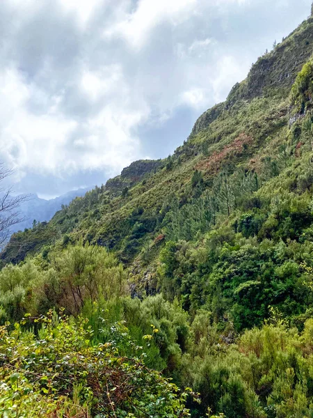 Beautiful Madeira Landscape Mountain View Folhadal Levada Selective Focus — 스톡 사진