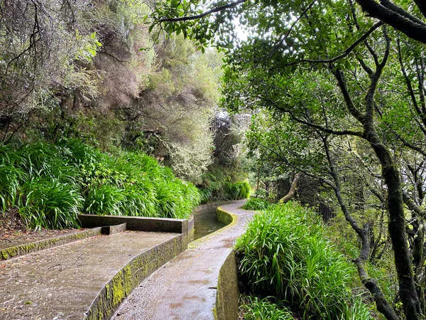 Beautiful Madeira Landscape Folhadal Levada — Foto de Stock