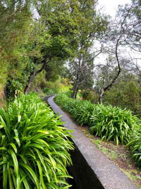 Folhadal Levada ile güzel Madeira manzarası