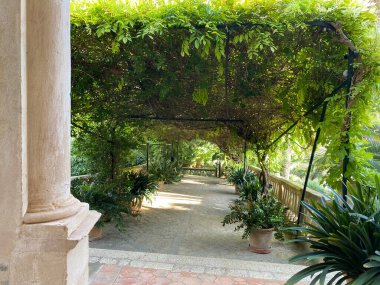 Güneşli bir günde Mallorca 'daki güzel Alfabia bahçesi, İspanya