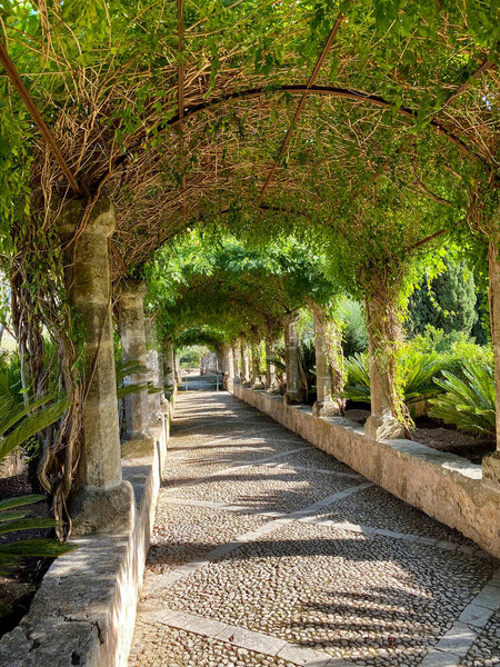 beautiful Alfabia garden in Mallorca at sunny day, Spain