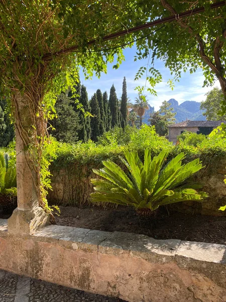 Bellissimo Giardino Alfabia Maiorca Nella Giornata Sole Spagna — Foto Stock