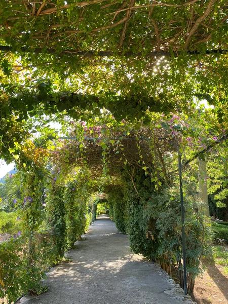 Beautiful Alfabia Garden Mallorca Sunny Day Spain — Stock Photo, Image