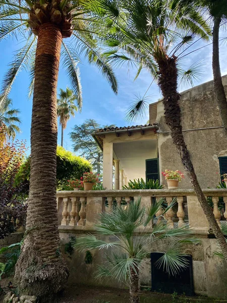 Beautiful Alfabia Garden Mallorca Sunny Day Spain — Stock Photo, Image