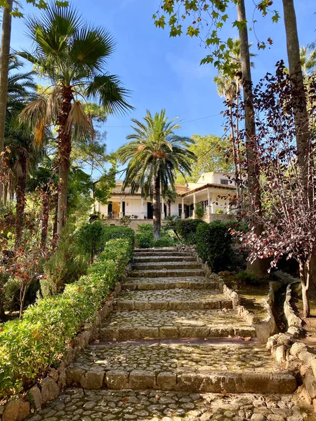 Bellissimo Giardino Alfabia Maiorca Nella Giornata Sole Spagna — Foto Stock