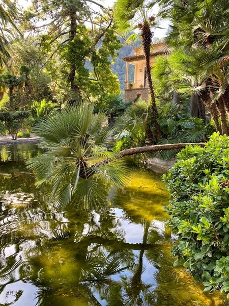 Güneşli Bir Günde Mallorca Daki Güzel Alfabia Bahçesi Spanya — Stok fotoğraf