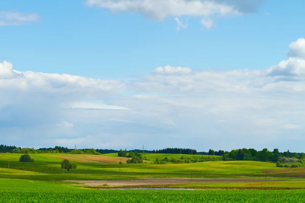 Spring rural landscape — Stock Photo, Image