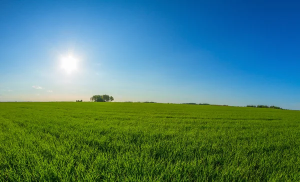Весенний пейзаж и солнце — стоковое фото