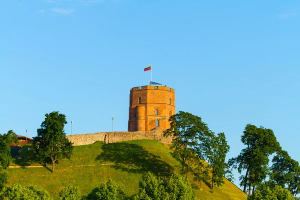 Башня Гедиминаса, Вильнюс, Литва — стоковое фото