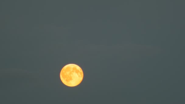 Luna llena se mueve a través del cielo en las nubes — Vídeos de Stock