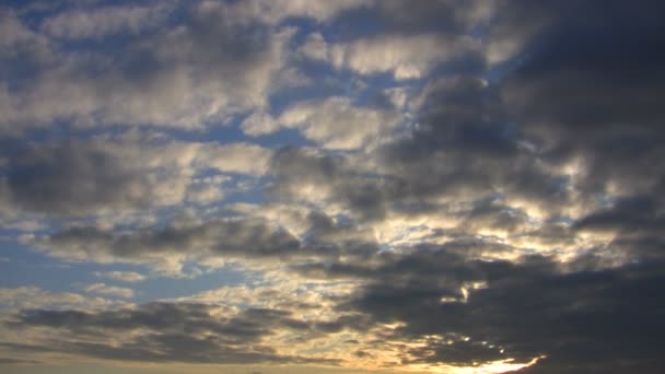 Zonsondergang over bos, hd time-lapse — Stockvideo