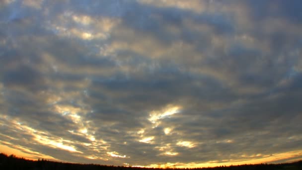 Zonsondergang over bos, hd time-lapse — Stockvideo