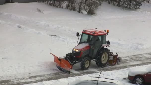 トラクターは雪をクリアします。 — ストック動画