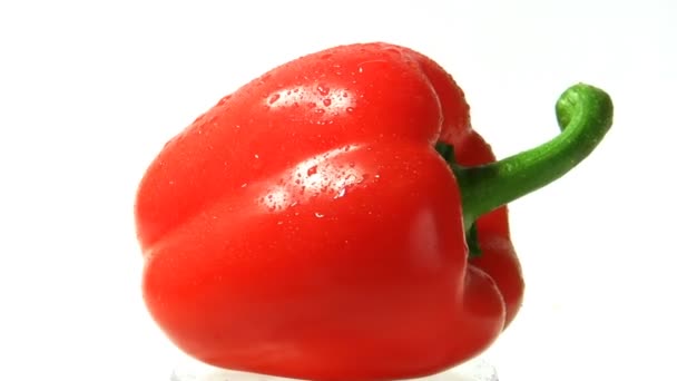 Roter Paprika, rotierend — Stockvideo