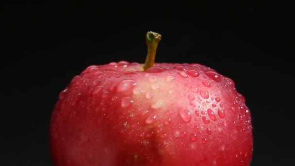 Manzana roja, gira — Vídeo de stock