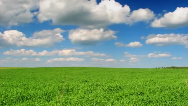 Landschap, blauwe hemel, timelapse — Stockvideo