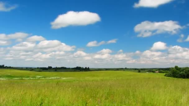 Lato łąka, Błękitne niebo, timelapse — Wideo stockowe