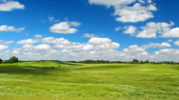 Prado de verão, céu azul, timelapse — Vídeo de Stock