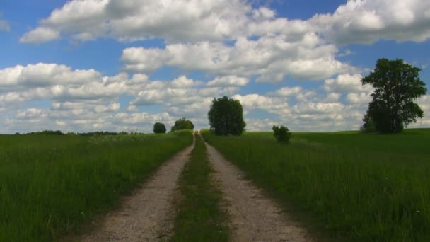 Prado de verano, cielo azul, timelapse — Vídeo de stock