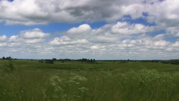 prairie d'été, ciel bleu, timelapse 
