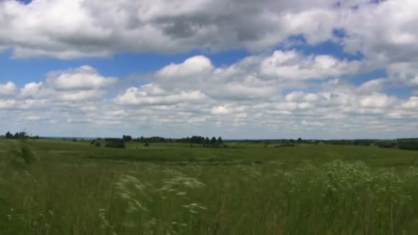 Prado de verano, cielo azul, timelapse — Vídeos de Stock