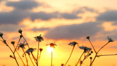 paisaje, cielo nublado, timelapse