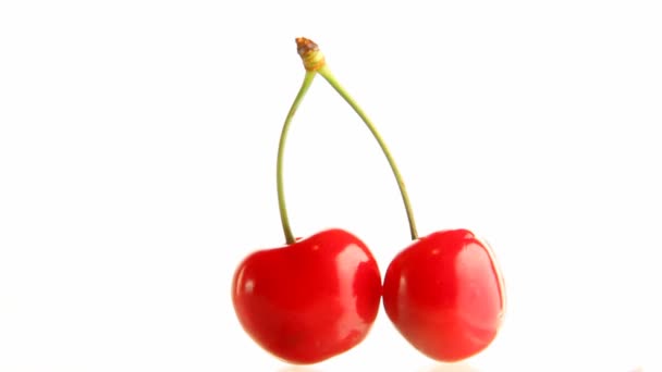 Cherry rotates on a white background — Stock Video