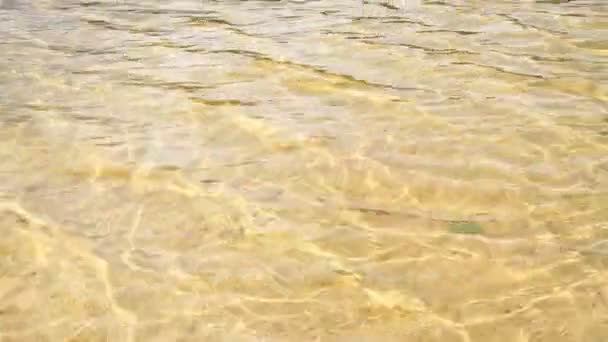 Рябь воды, абстрактный фон — стоковое видео