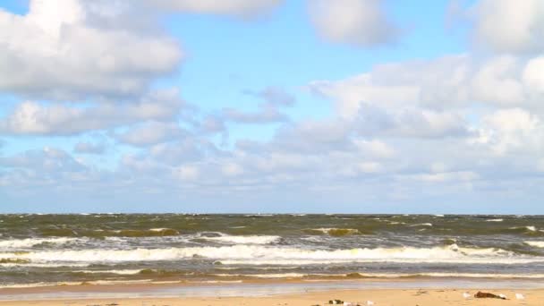 Deniz fırtınası — Stok video