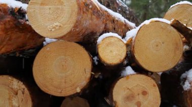 Boyutlanmış kereste