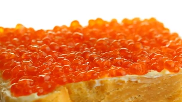 Sandwich with caviar — Stock Video